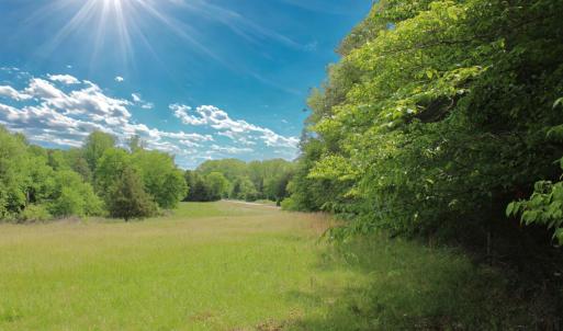 Photo #30 of Off Longs Mill Road - Lot 2, Blanch, NC 10.2 acres