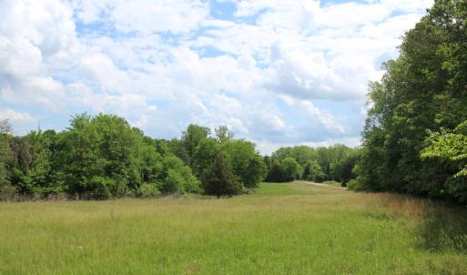 Photo #31 of Off Longs Mill Road - Lot 2, Blanch, NC 10.2 acres