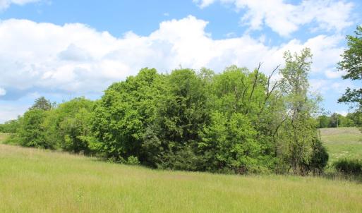Photo #36 of Off Longs Mill Road - Lot 2, Blanch, NC 10.2 acres