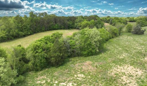 Photo #13 of Off Bill Compton Road and Longs Mill Road - Lot 3, Blanch, NC 10.2 acres