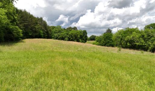 Photo #14 of Off Bill Compton Road and Longs Mill Road - Lot 3, Blanch, NC 10.2 acres