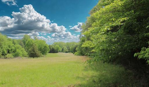 Photo #18 of Off Bill Compton Road and Longs Mill Road - Lot 3, Blanch, NC 10.2 acres