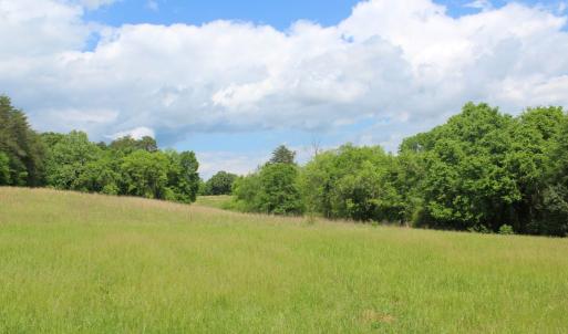 Photo #20 of Off Bill Compton Road and Longs Mill Road - Lot 3, Blanch, NC 10.2 acres