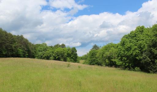 Photo #23 of Off Bill Compton Road and Longs Mill Road - Lot 3, Blanch, NC 10.2 acres