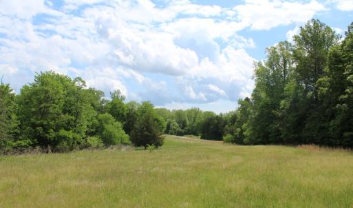 Photo #24 of Off Bill Compton Road and Longs Mill Road - Lot 3, Blanch, NC 10.2 acres