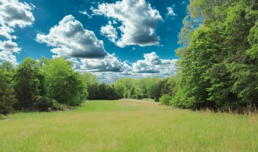 Photo #25 of Off Bill Compton Road and Longs Mill Road - Lot 3, Blanch, NC 10.2 acres