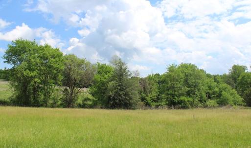 Photo #13 of Off Bill Compton Road - Lot 4, Blanch, NC 10.2 acres