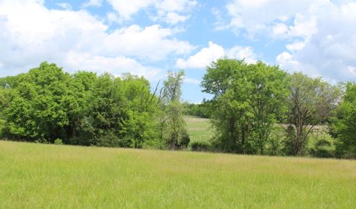 Photo #14 of Off Bill Compton Road - Lot 4, Blanch, NC 10.2 acres