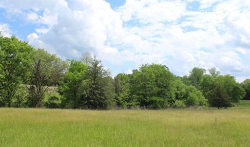 Photo #15 of Off Bill Compton Road - Lot 4, Blanch, NC 10.2 acres