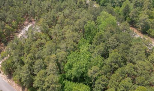Photo #13 of Off Fox Lane, Wagram, NC 0.8 acres