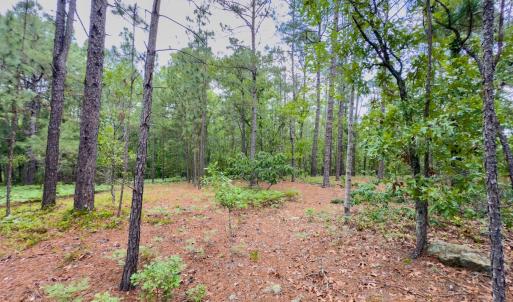 Photo #14 of Off Fox Lane, Wagram, NC 0.8 acres