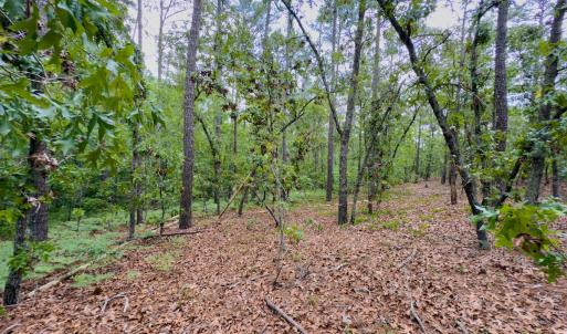 Photo #15 of Off Fox Lane, Wagram, NC 0.8 acres