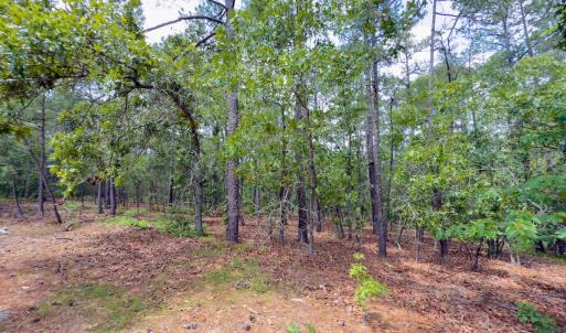 Photo #19 of Off Fox Lane, Wagram, NC 0.8 acres