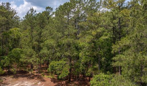 Photo #5 of Off Fox Lane, Wagram, NC 0.8 acres