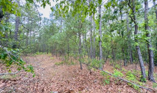 Photo #6 of Off Fox Lane, Wagram, NC 0.8 acres