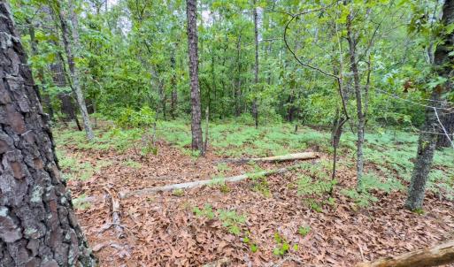 Photo #8 of Off Fox Lane, Wagram, NC 0.8 acres