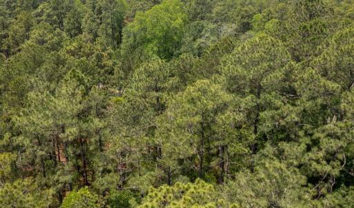 Photo #9 of Off Fox Lane, Wagram, NC 0.8 acres