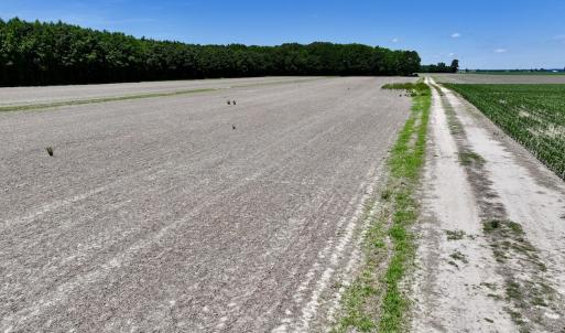 Photo #10 of Off Short Cut Rd, Shawboro, NC 39.3 acres