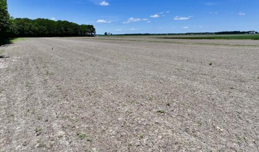 Photo #11 of Off Short Cut Rd, Shawboro, NC 39.3 acres