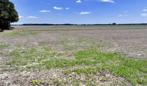 Photo #13 of Off Short Cut Rd, Shawboro, NC 39.3 acres