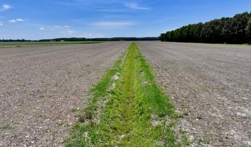 Photo #14 of Off Short Cut Rd, Shawboro, NC 39.3 acres