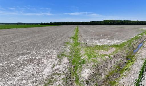 Photo #18 of Off Short Cut Rd, Shawboro, NC 39.3 acres