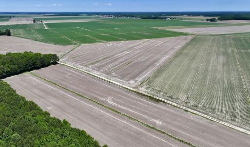 Photo #1 of Off Short Cut Rd, Shawboro, NC 39.3 acres