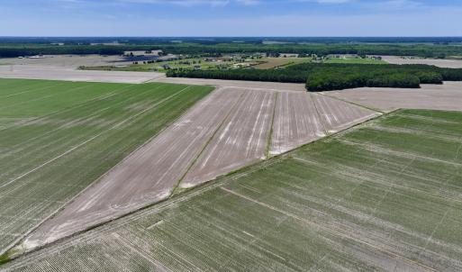 Photo #2 of Off Short Cut Rd, Shawboro, NC 39.3 acres
