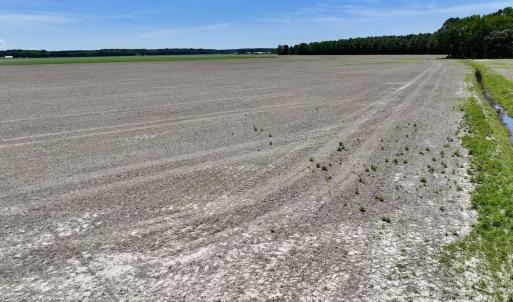 Photo #20 of Off Short Cut Rd, Shawboro, NC 39.3 acres