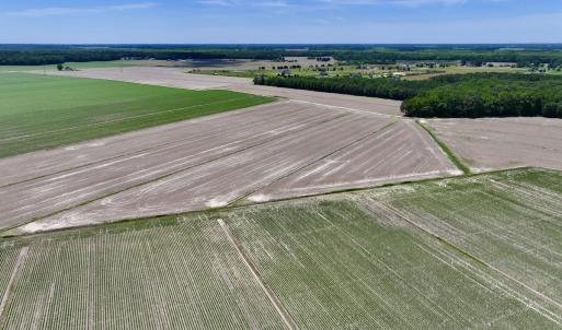 Photo #3 of Off Short Cut Rd, Shawboro, NC 39.3 acres
