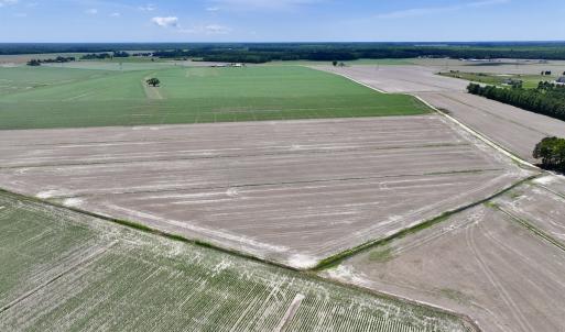 Photo #4 of Off Short Cut Rd, Shawboro, NC 39.3 acres
