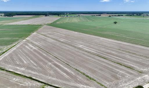 Photo #5 of Off Short Cut Rd, Shawboro, NC 39.3 acres