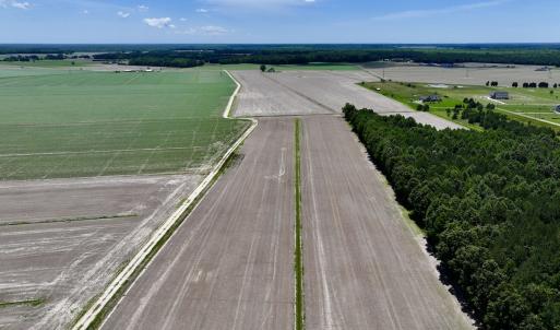 Photo #6 of Off Short Cut Rd, Shawboro, NC 39.3 acres