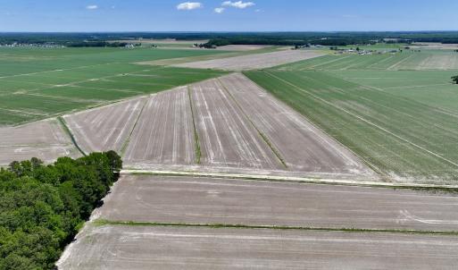 Photo #7 of Off Short Cut Rd, Shawboro, NC 39.3 acres