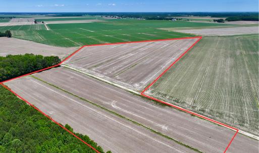 Photo #8 of Off Short Cut Rd, Shawboro, NC 39.3 acres