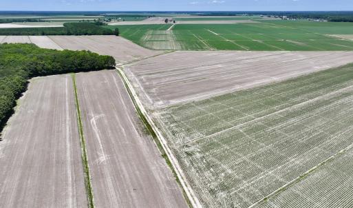 Photo #9 of Off Short Cut Rd, Shawboro, NC 39.3 acres