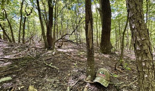Photo #10 of Off Jeters Chapel Rd, Vinton, VA 150.8 acres