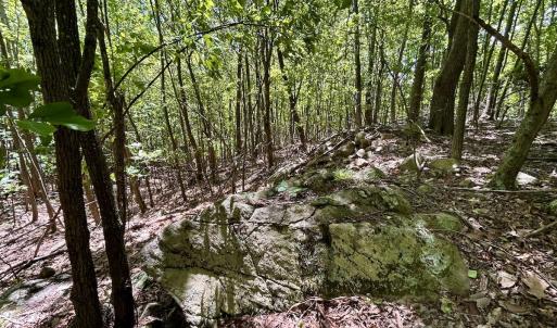Photo #11 of Off Jeters Chapel Rd, Vinton, VA 150.8 acres
