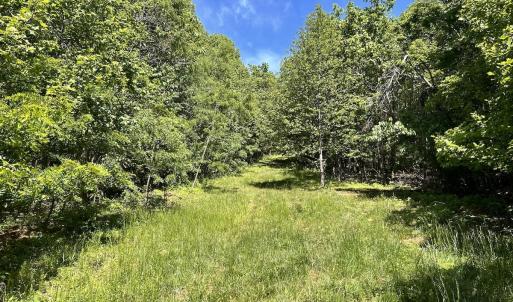 Photo #12 of Off Jeters Chapel Rd, Vinton, VA 150.8 acres