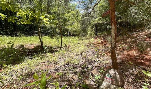 Photo #13 of Off Jeters Chapel Rd, Vinton, VA 150.8 acres