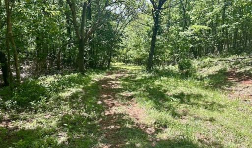 Photo #14 of Off Jeters Chapel Rd, Vinton, VA 150.8 acres