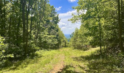 Photo #15 of Off Jeters Chapel Rd, Vinton, VA 150.8 acres