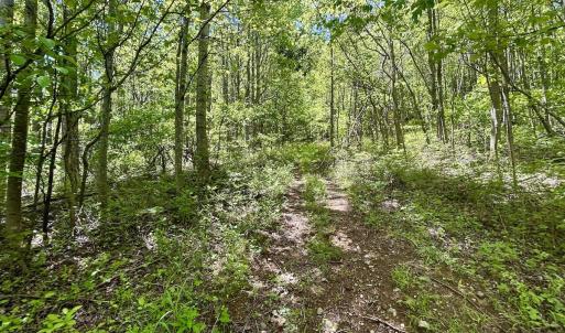 Photo #17 of Off Jeters Chapel Rd, Vinton, VA 150.8 acres