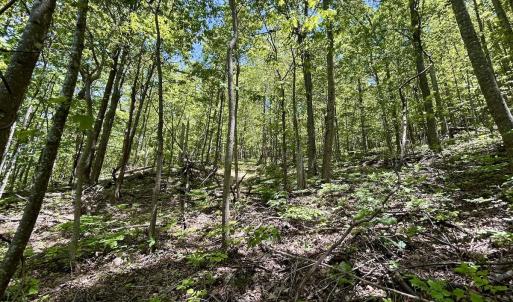 Photo #18 of Off Jeters Chapel Rd, Vinton, VA 150.8 acres