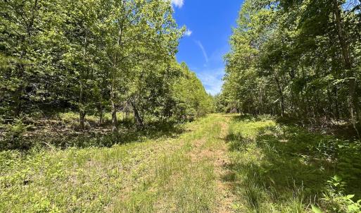 Photo #19 of Off Jeters Chapel Rd, Vinton, VA 150.8 acres