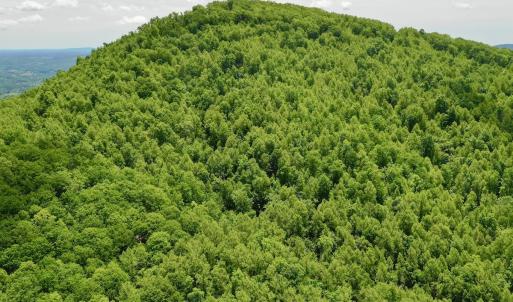Photo #20 of Off Jeters Chapel Rd, Vinton, VA 150.8 acres
