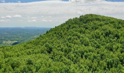 Photo #21 of Off Jeters Chapel Rd, Vinton, VA 150.8 acres
