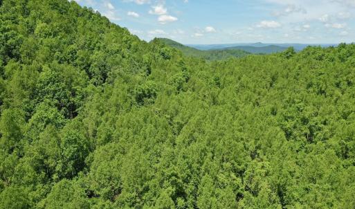 Photo #22 of Off Jeters Chapel Rd, Vinton, VA 150.8 acres