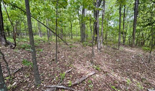 Photo #23 of Off Jeters Chapel Rd, Vinton, VA 150.8 acres