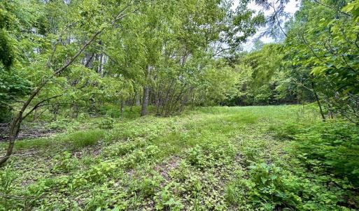 Photo #24 of Off Jeters Chapel Rd, Vinton, VA 150.8 acres